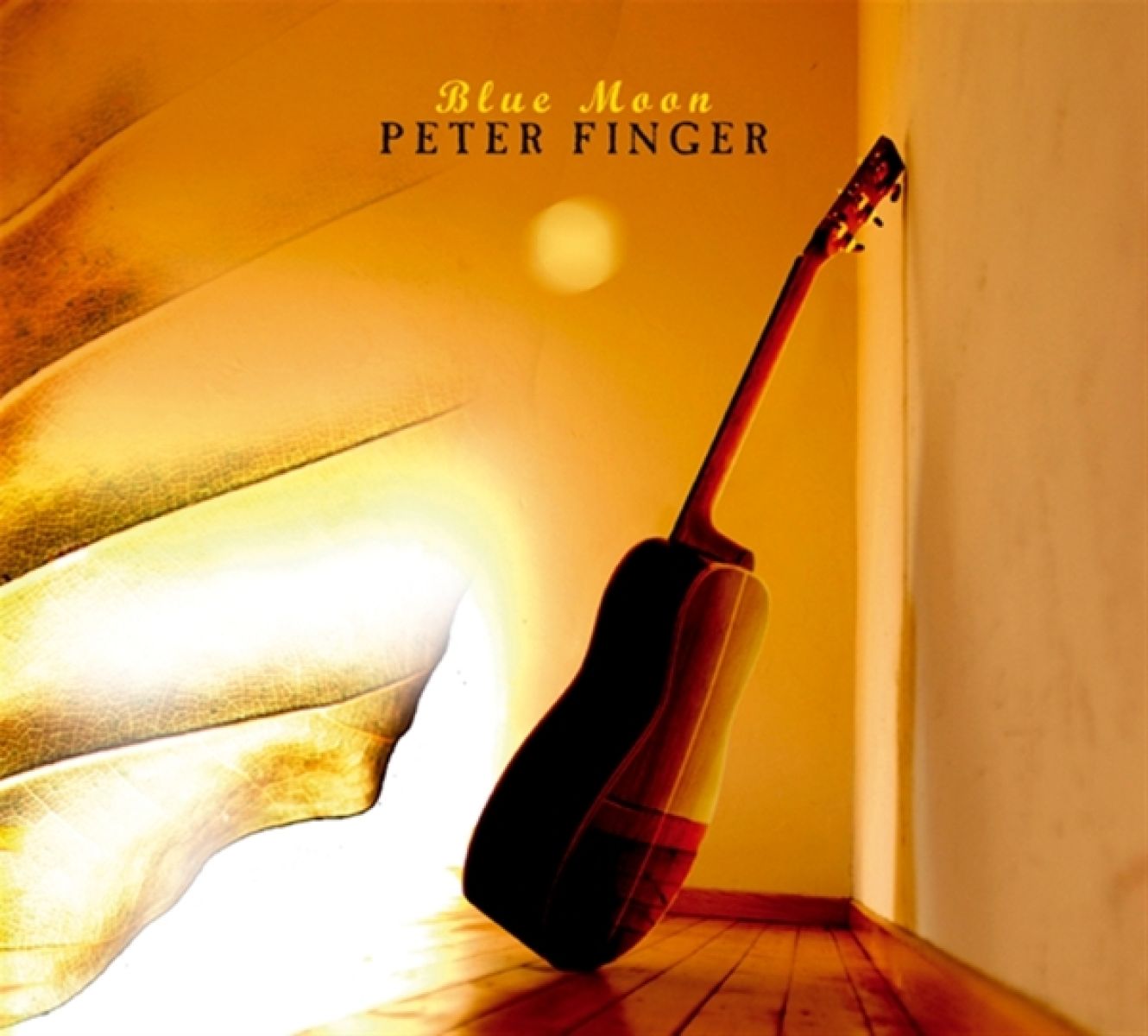 Afbeelding van Peter Finger - Blue Moon