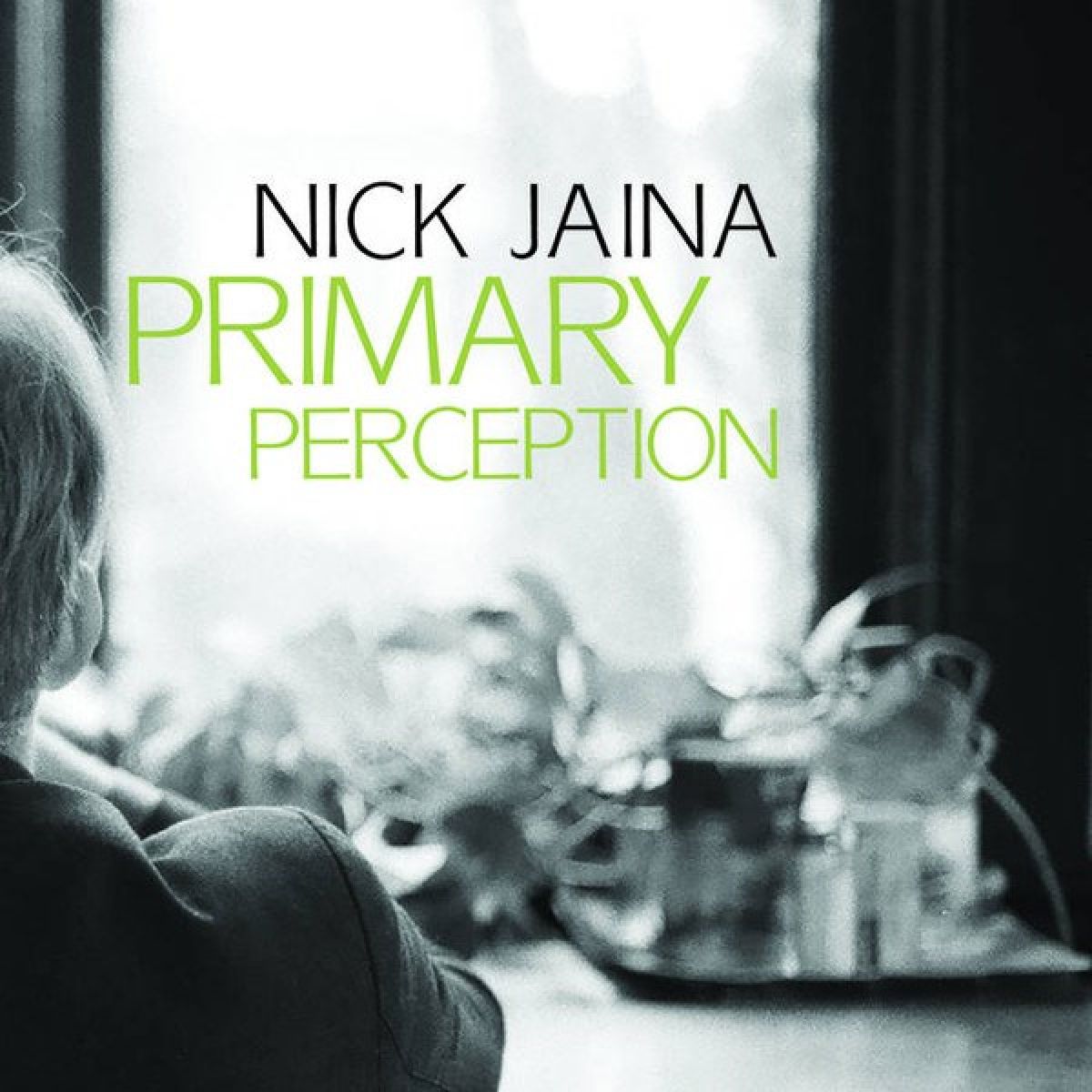 Afbeelding van Nick Jaina - Primary Perception