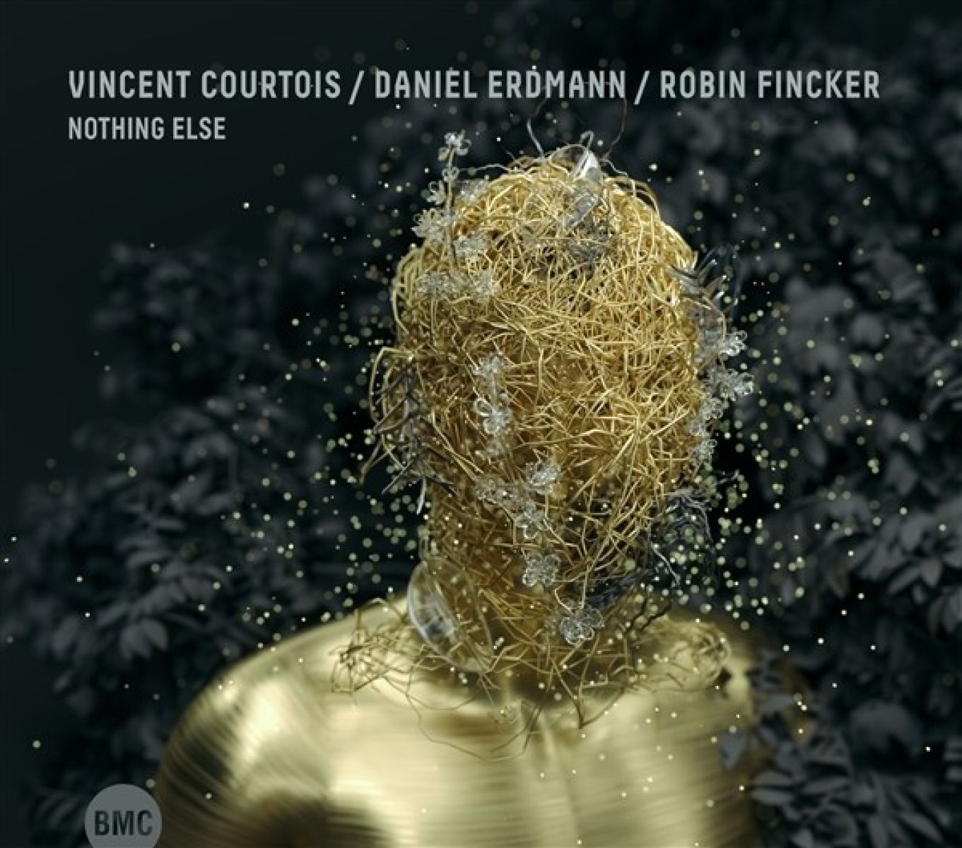Afbeelding van Vincent Courtois, Daniel Erdmann & Robin Fincker - Nothing Else