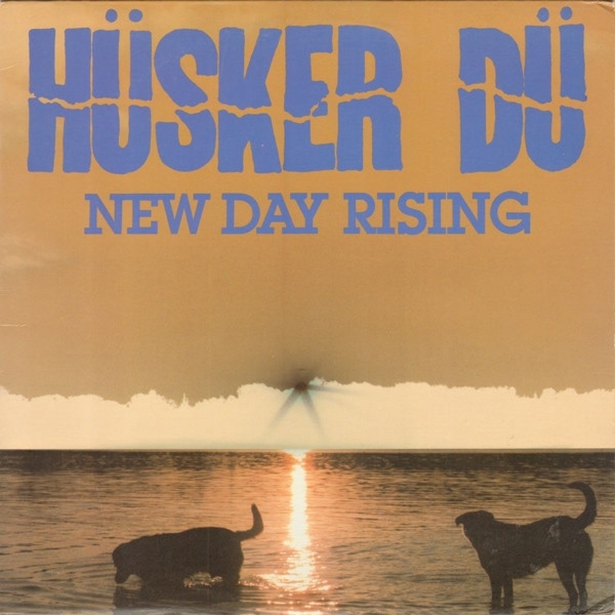 Afbeelding van Husker Du - New Day Rising