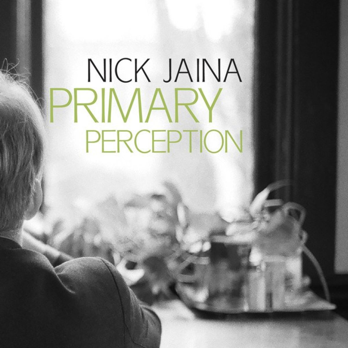 Afbeelding van Primary Perception