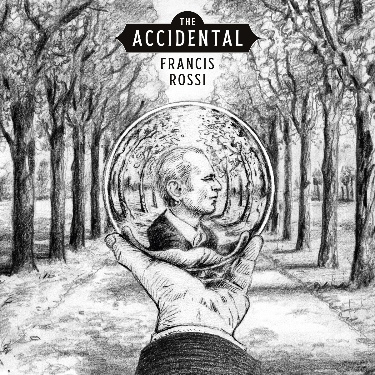 Afbeelding van Francis Rossi - The Accidental
