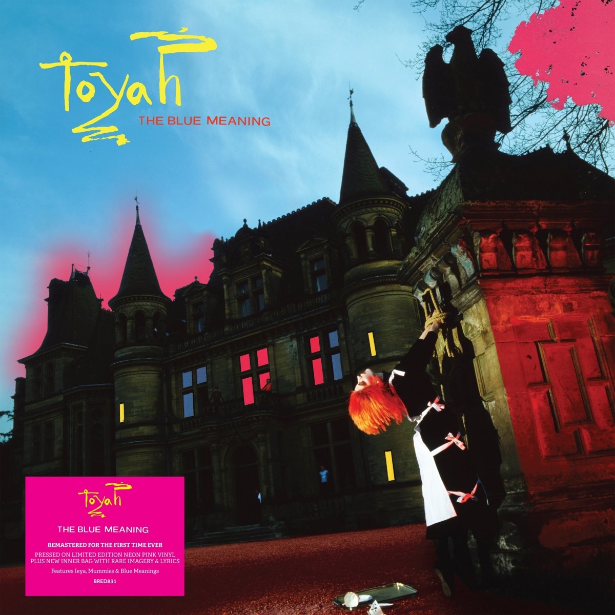 Toyah - The Blue Meaning