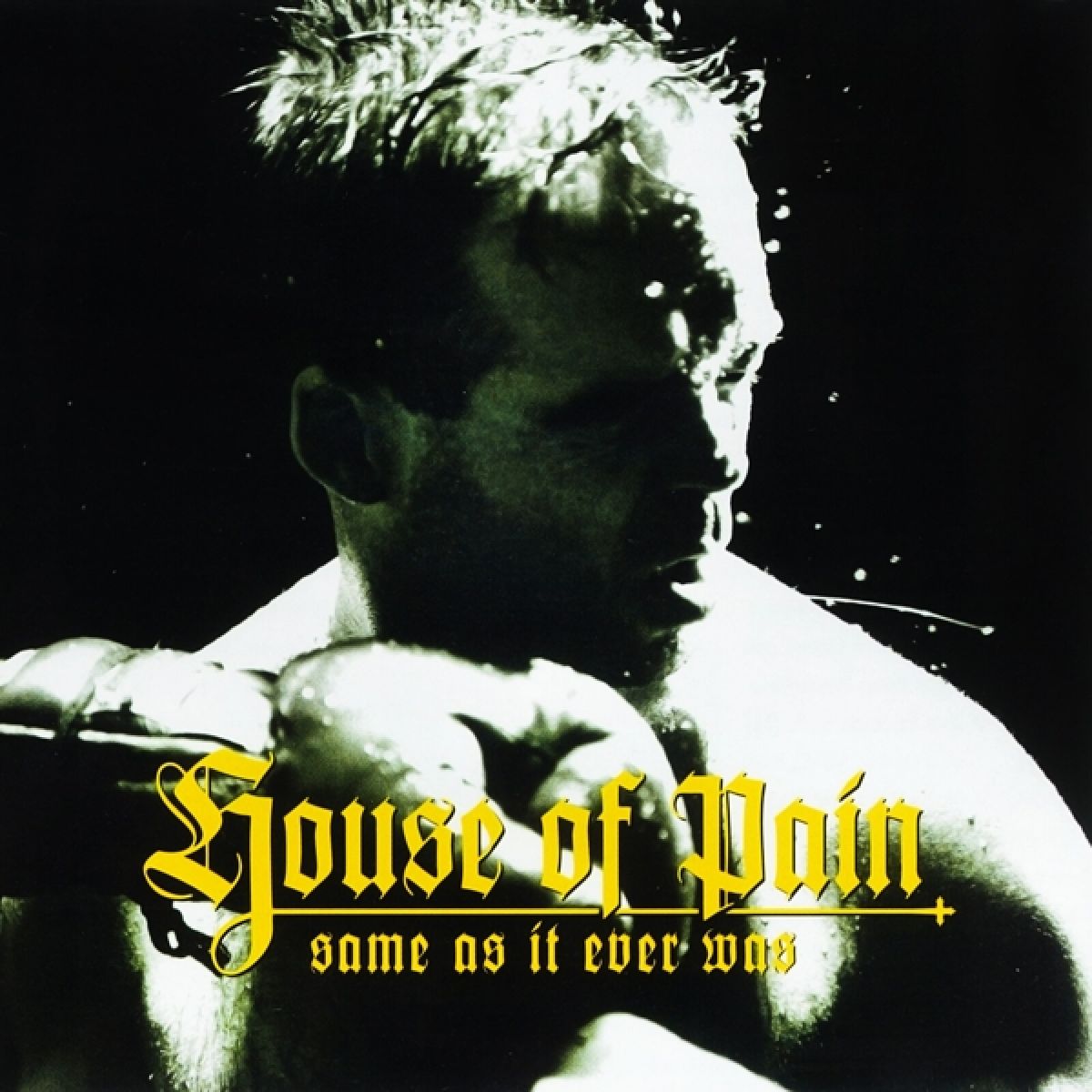 Afbeelding van House Of Pain - Same As It Ever Was