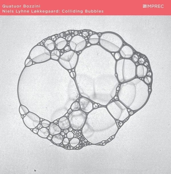 Afbeelding van Niels Lyhne Lokkegaard & Quatuor Bozzini - Colliding Bubbles