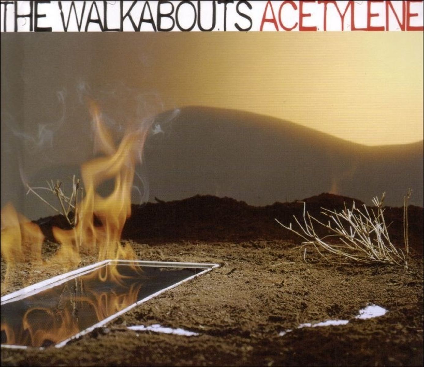 The Walkabouts - Acetylene