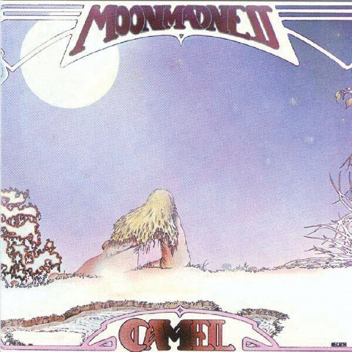 Afbeelding van Camel - Moon Madness
