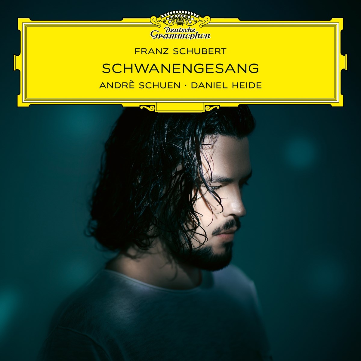 Afbeelding van Daniel Heide & Andrè Schuen - Schubert: Schwanengesang