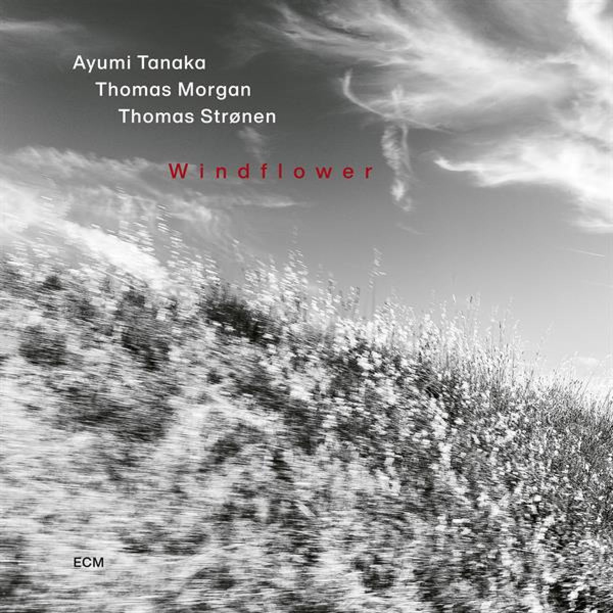 Afbeelding van Ayumi Tanaka, Thomas Morgan, Thomas Stronen - Windflower