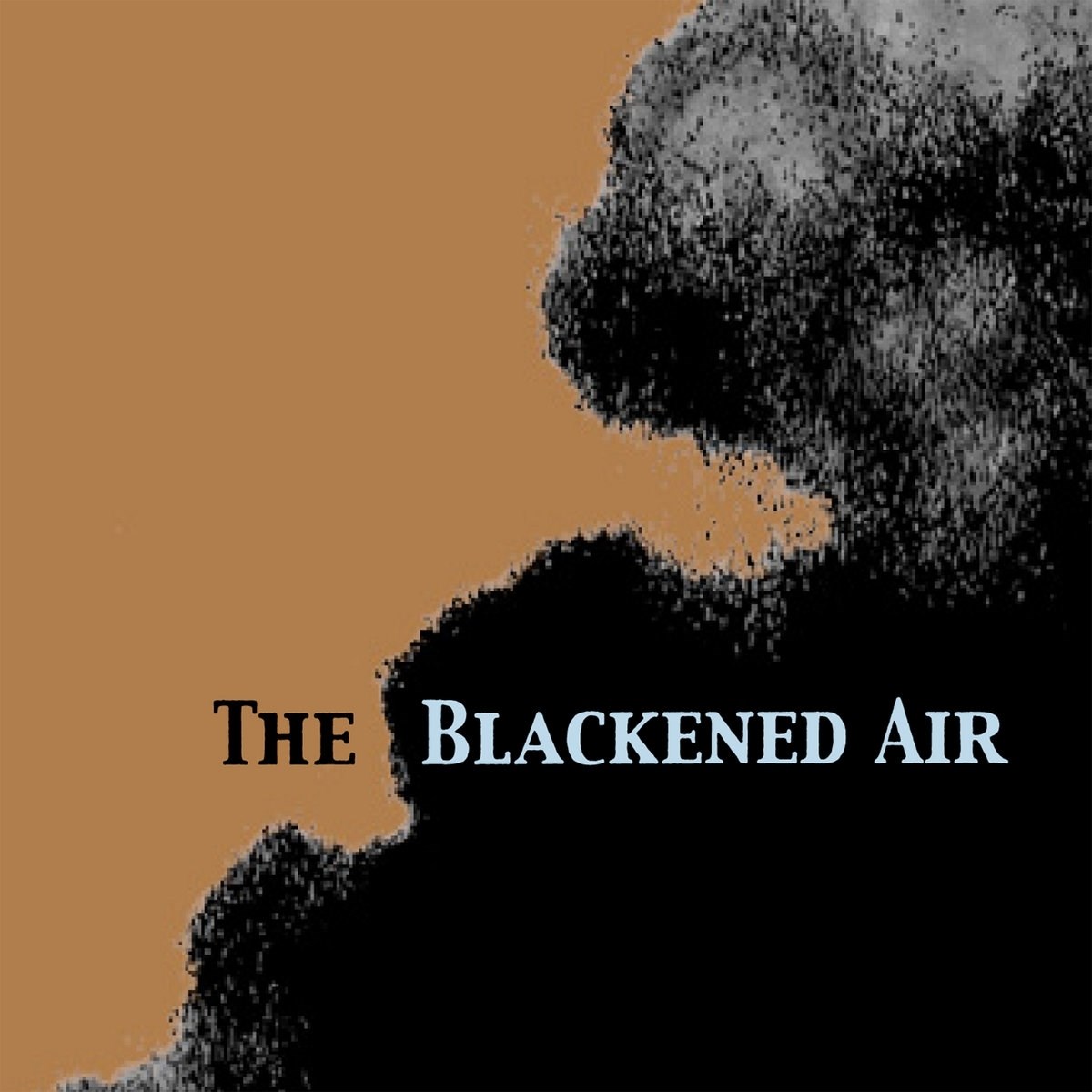 Afbeelding van Nina Nastasia - The Blackened Air