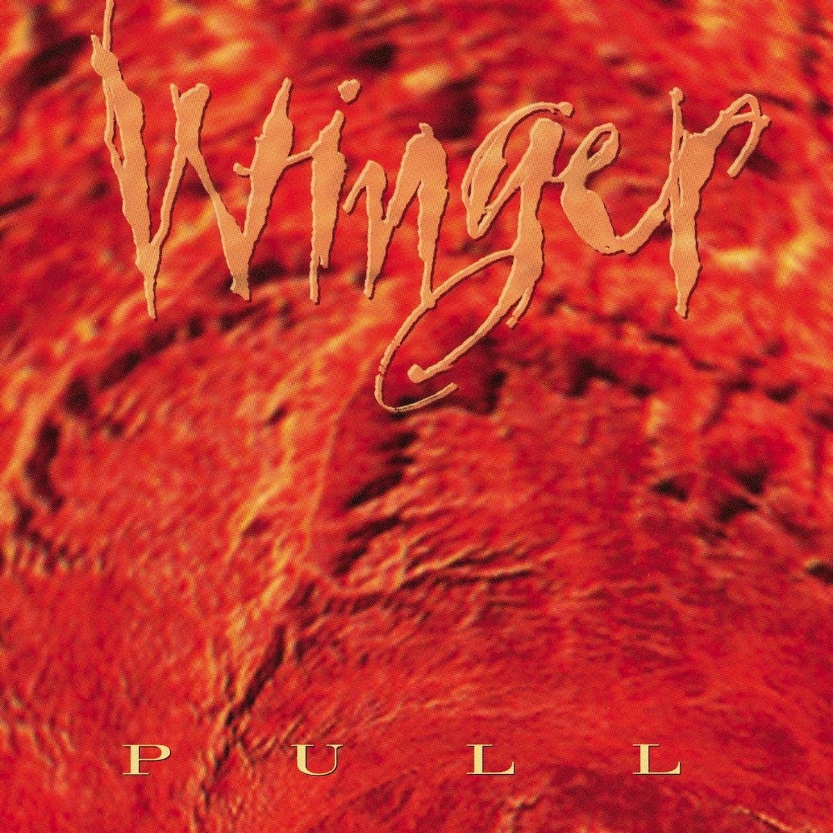 Afbeelding van Winger - Pull