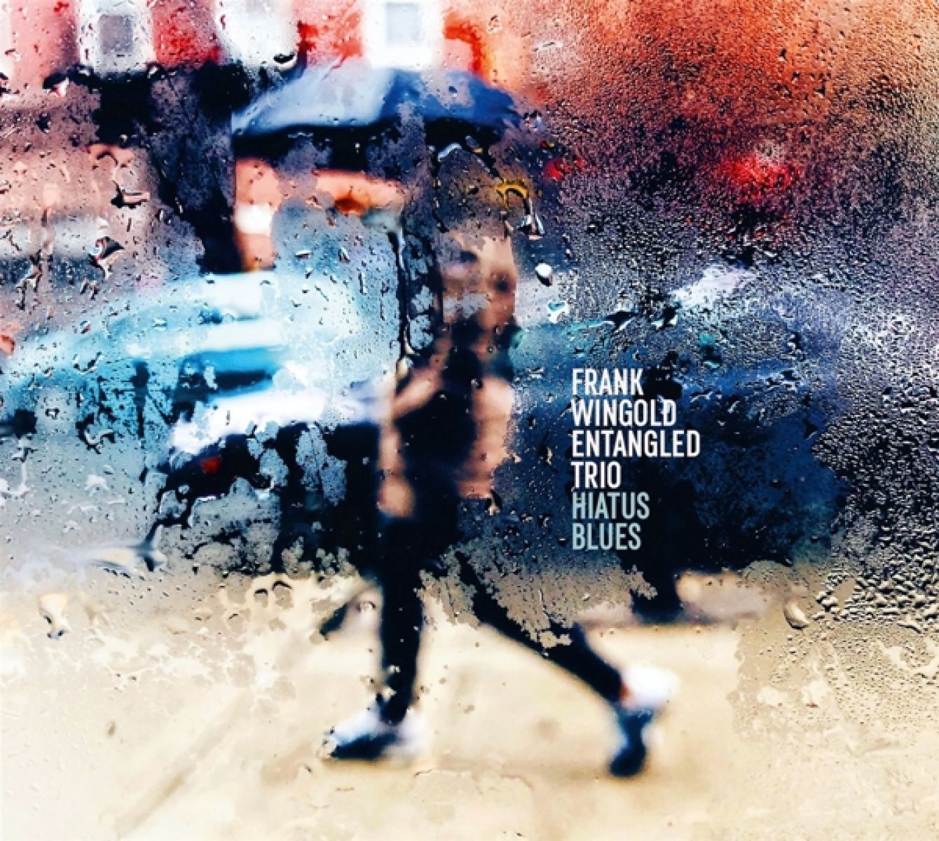 Afbeelding van Frank Wingold Trio - Hiatus Blues