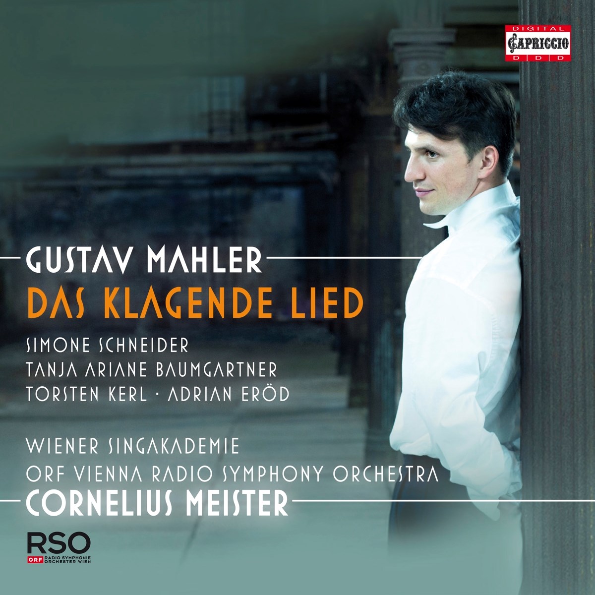 Afbeelding van Simone Schneider, Tanja Ariane Baumgartner, Torsten Kerl, Adrian Eröd, Wiener Singakademie, ORF Radio-Symphonieorchester Wien, Cornelius Meister - Mahler: Das Klagende Lied