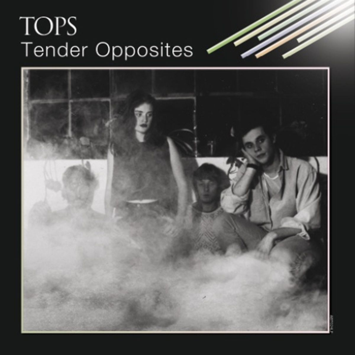 Afbeelding van TOPS - Tender Opposites