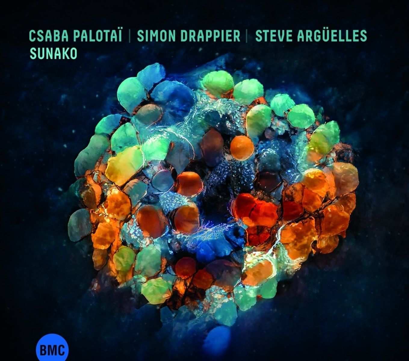 Afbeelding van Csaba Palotaï, Simon Drappier, Steve Argüelles - Sunako