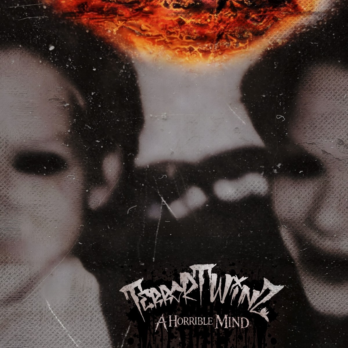 Afbeelding van A Horrible Mind