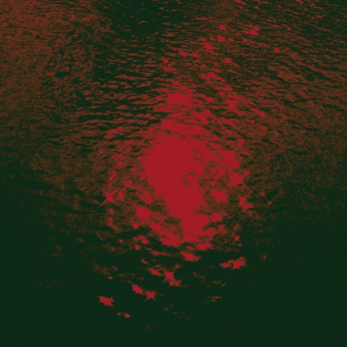 Afbeelding van Celia XX - Ultraviolencia