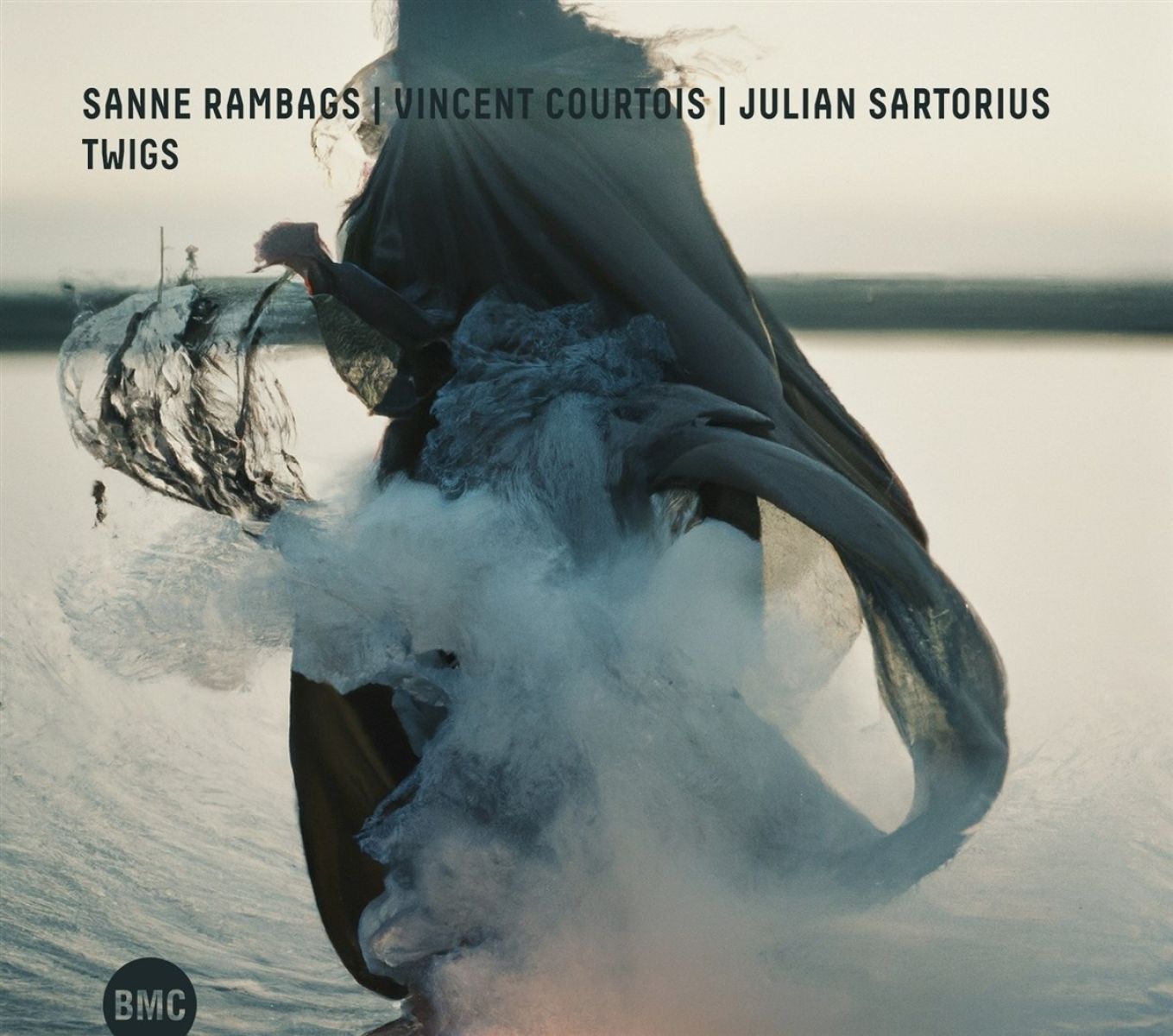 Afbeelding van Sanne Rambags, Vincent Courtois & Julian Sartori - Twigs