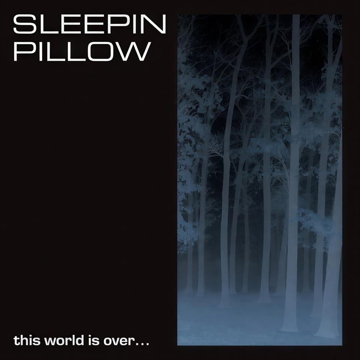 Afbeelding van Sleepin Pillow - This World Is Over...