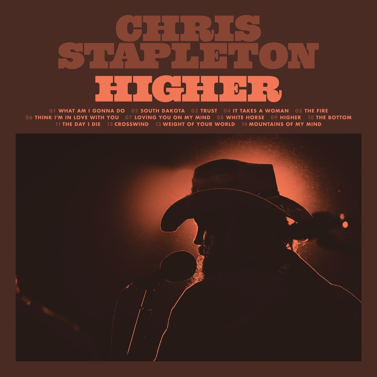 Afbeelding van Chris Stapleton - Higher