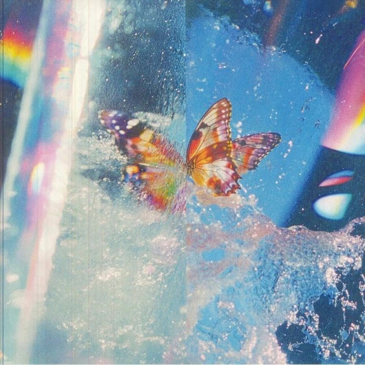 Afbeelding van Daphni - Butterfly