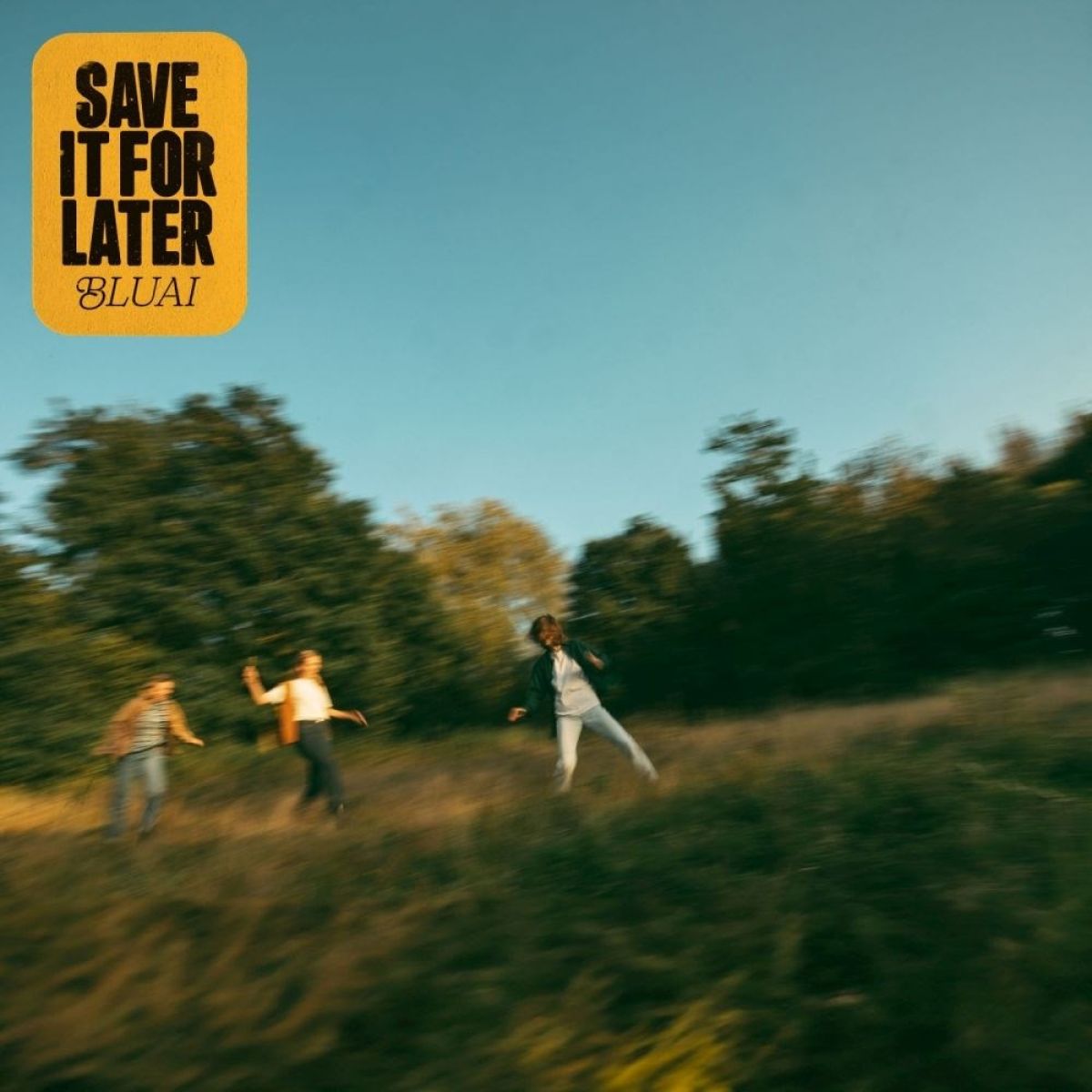 Afbeelding van Bluai - Save It For Later