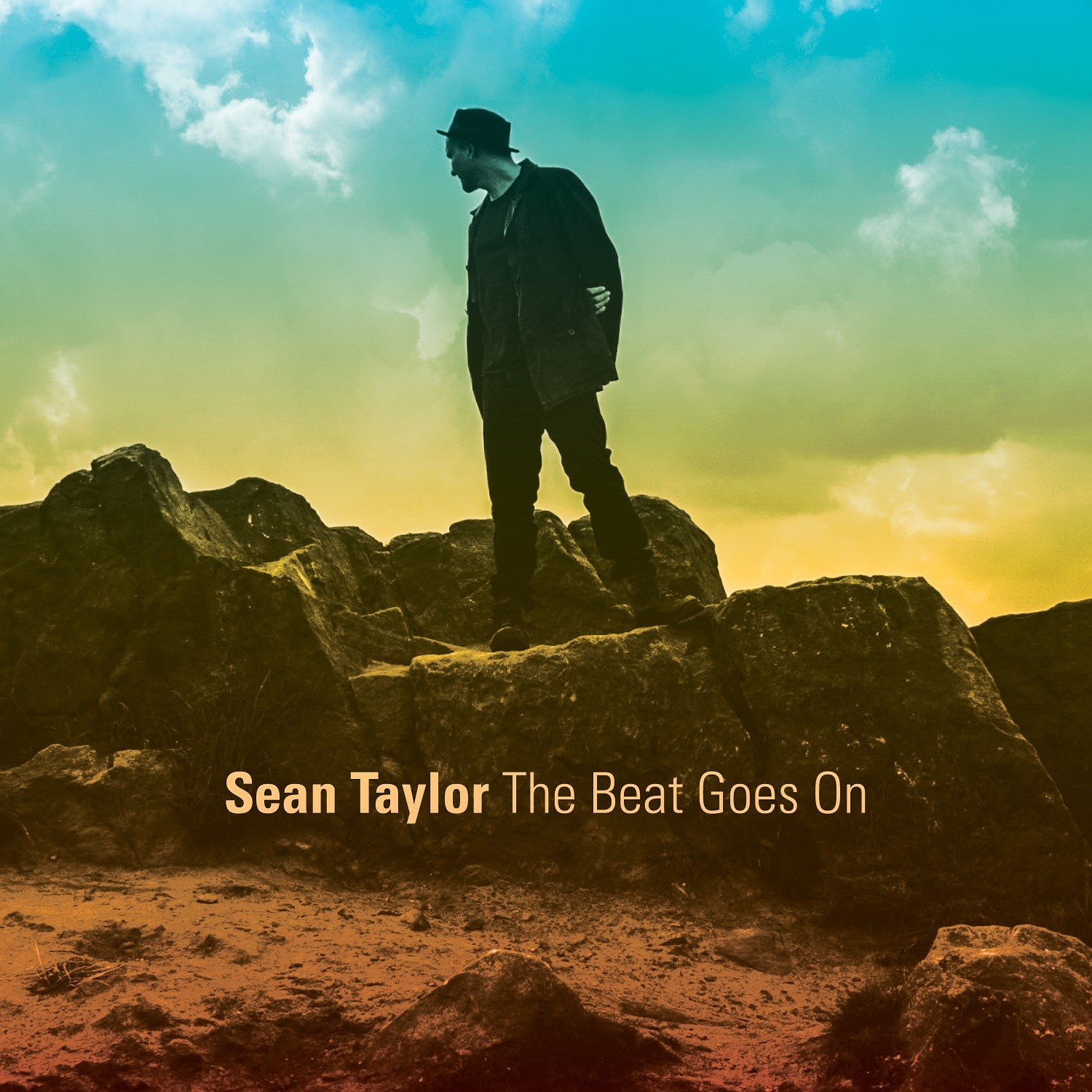 Afbeelding van Sean Taylor - The Beat Goes On