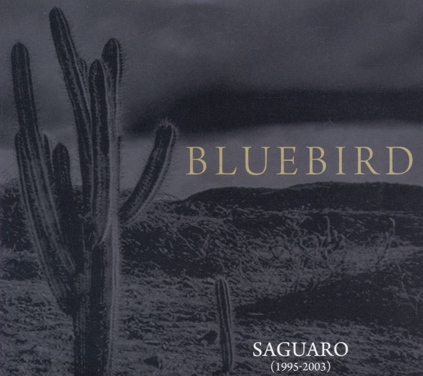 Bluebird - Saguaro (1995-2003)
