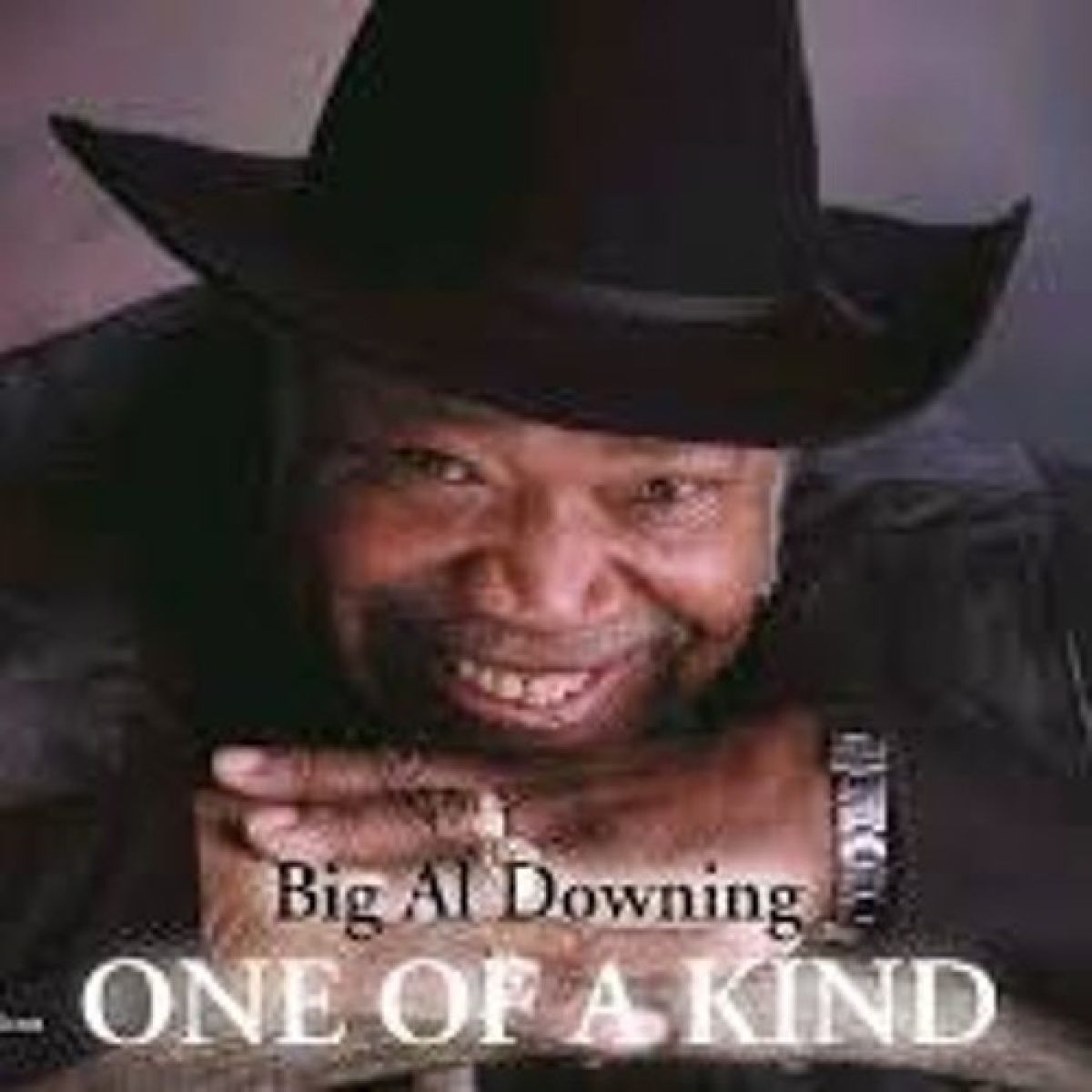 Afbeelding van Al Downing - One Of A Kind