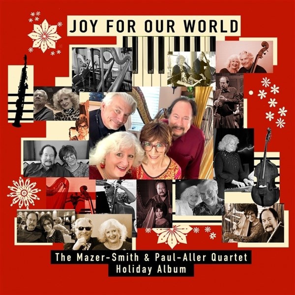 Afbeelding van Erika Paul - Joy For Our World