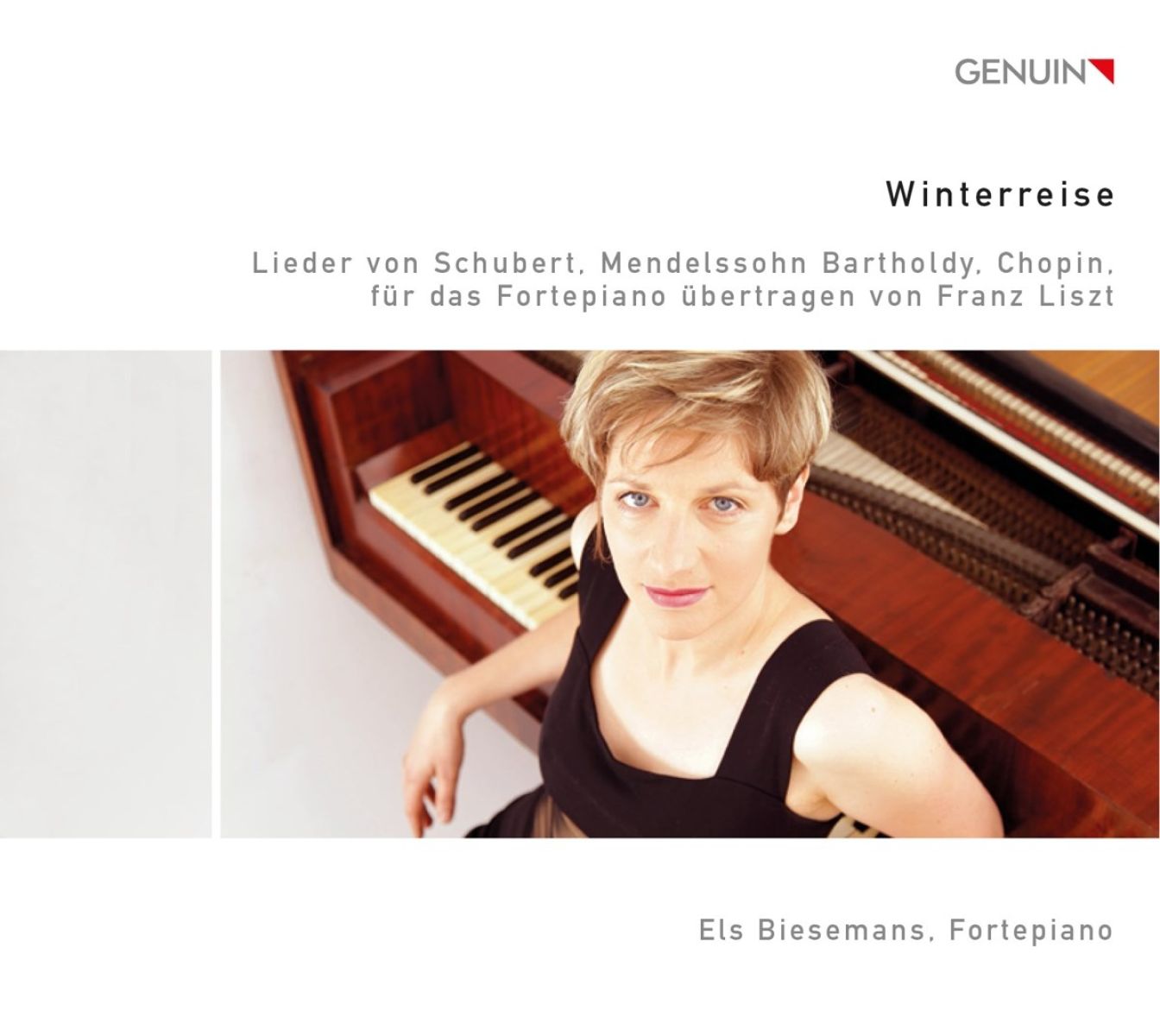 Afbeelding van Els Biesemans - Winterreise (Lieder Von Schubert, Mendelssohn Bartholdy, Chopin, Für Das Fortepiano Übertragen Von Franz Liszt)