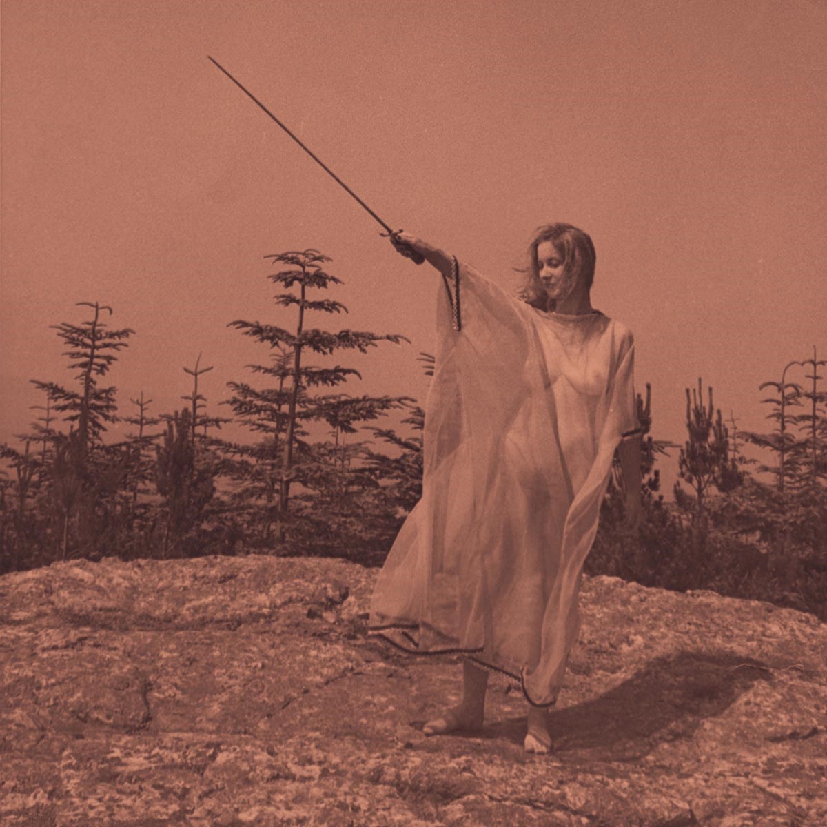 Afbeelding van Unknown Mortal Orchestra - II