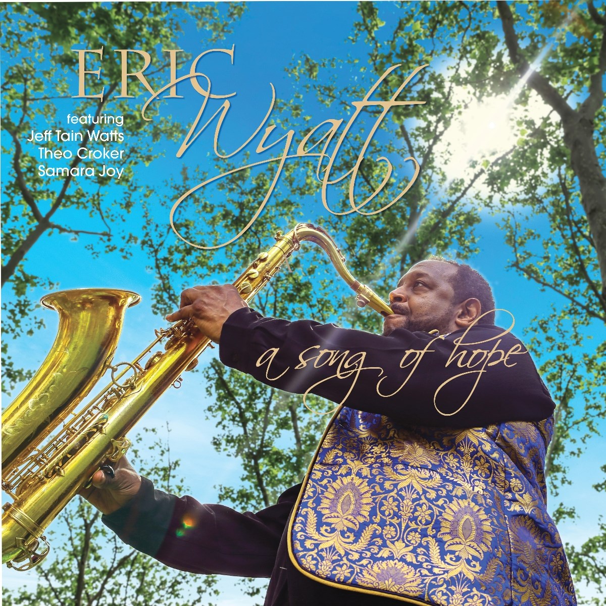 Afbeelding van Eric Wyatt - A Song Of Hope