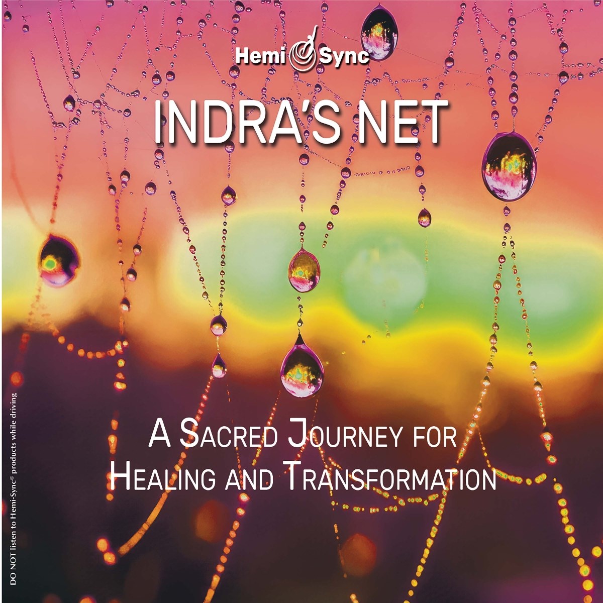 Afbeelding van Various Artists - Indra's Net