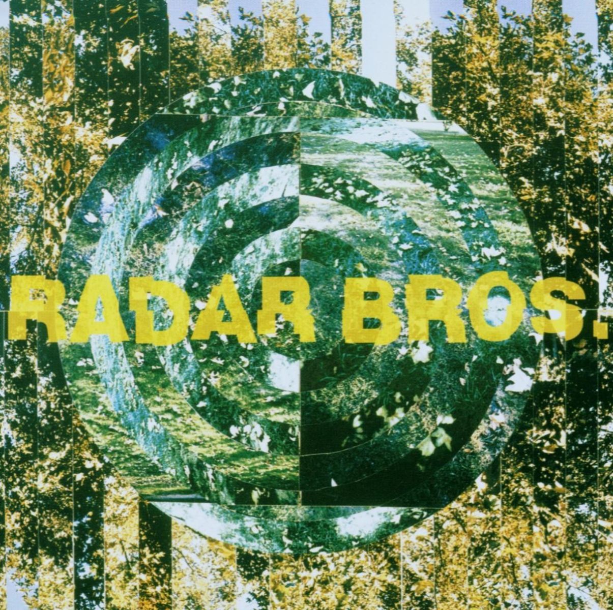 Afbeelding van Radar Bros. - The Fallen Leaf Pages