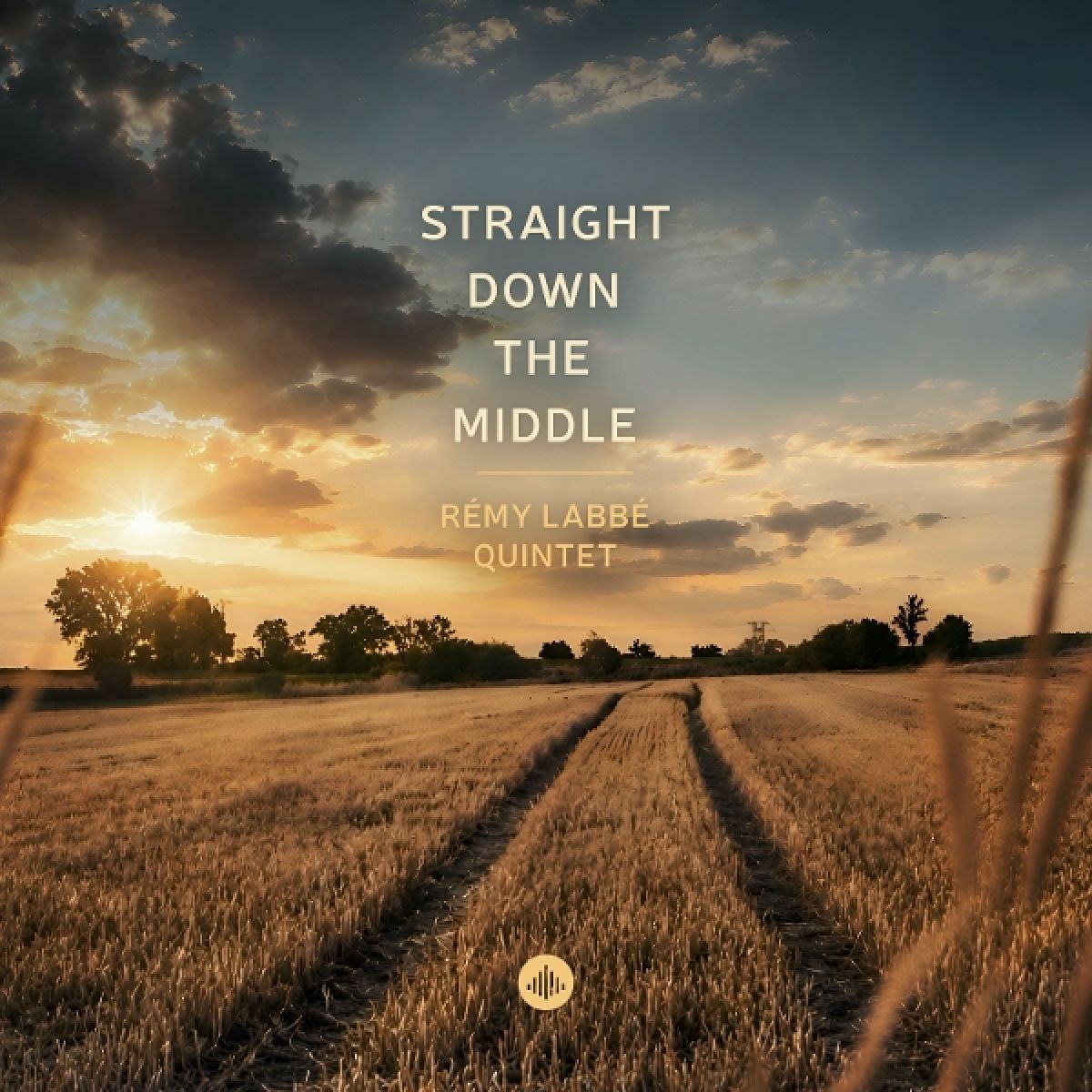 Afbeelding van Remy Labbe Quintet - Straight Down The Middle
