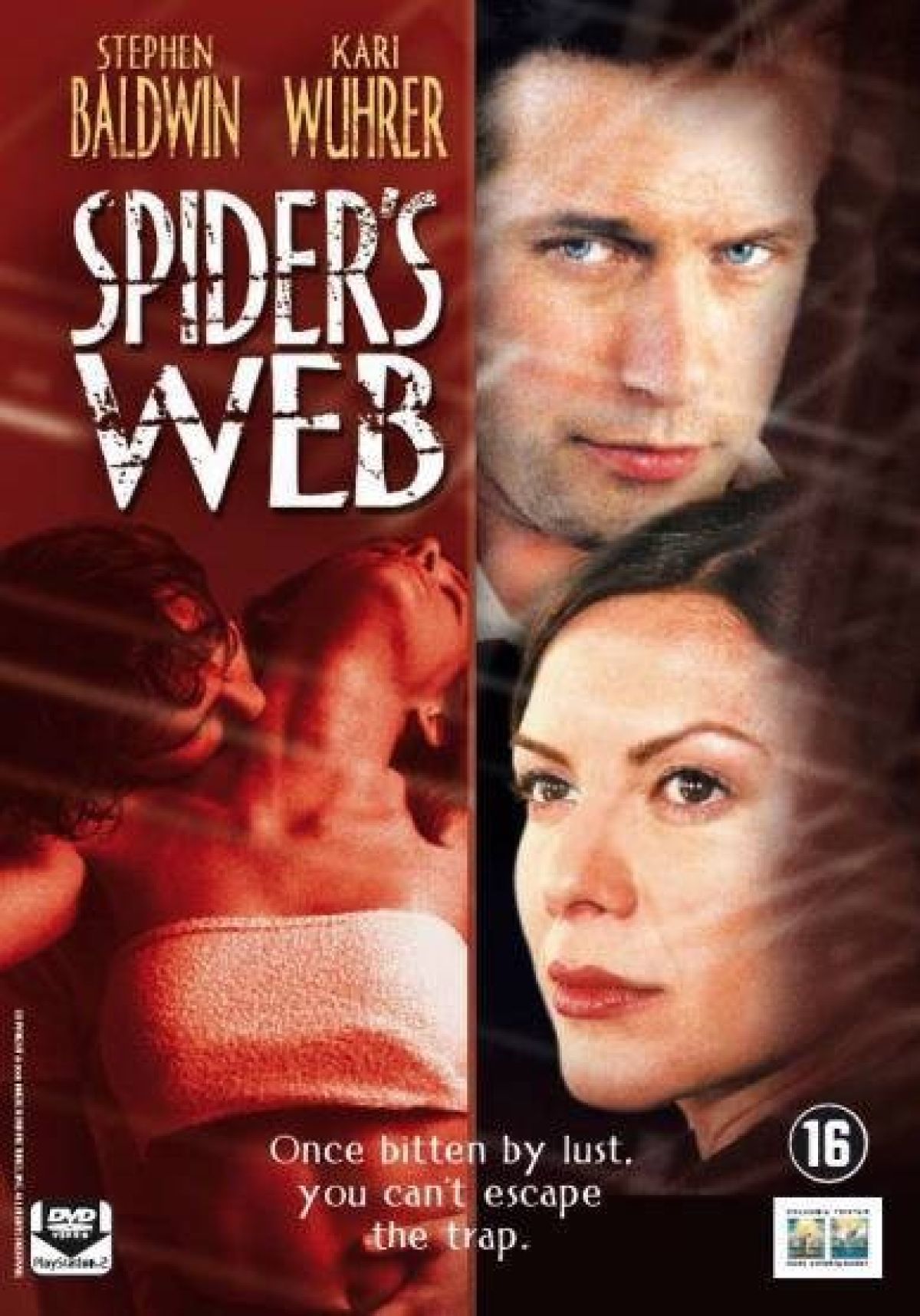 Afbeelding van Spider's Web
