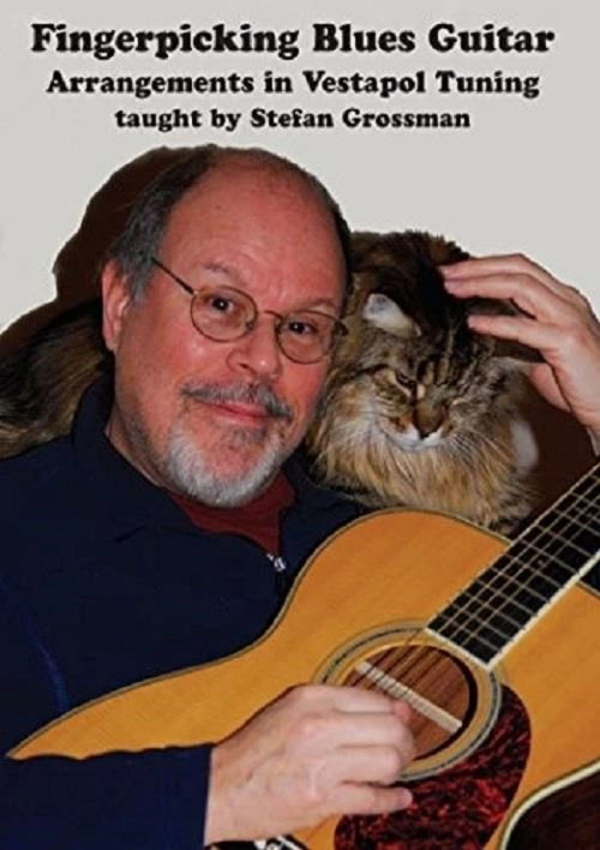 Stefan Grossman - Fingerpicking Blues Guitar