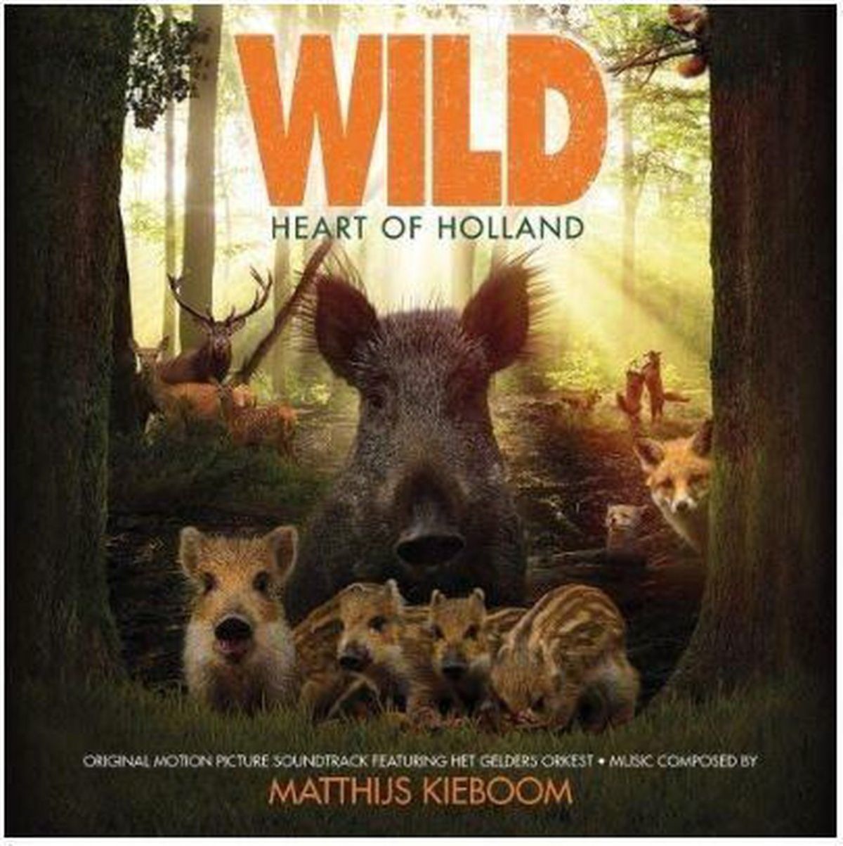 Afbeelding van Matthijs Kieboom Featuring Het Gelders Orkest - Wild: Heart Of Holland (Original Motion Picture Soundtrack)