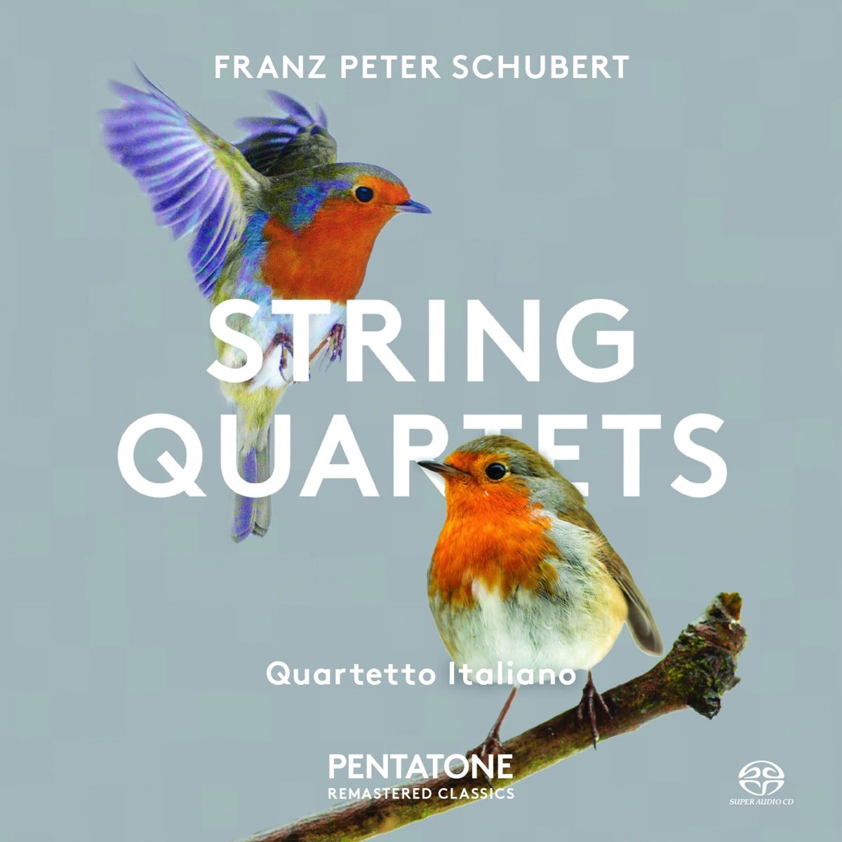 Afbeelding van Quartetto Italiono - Schubert: String Quartets