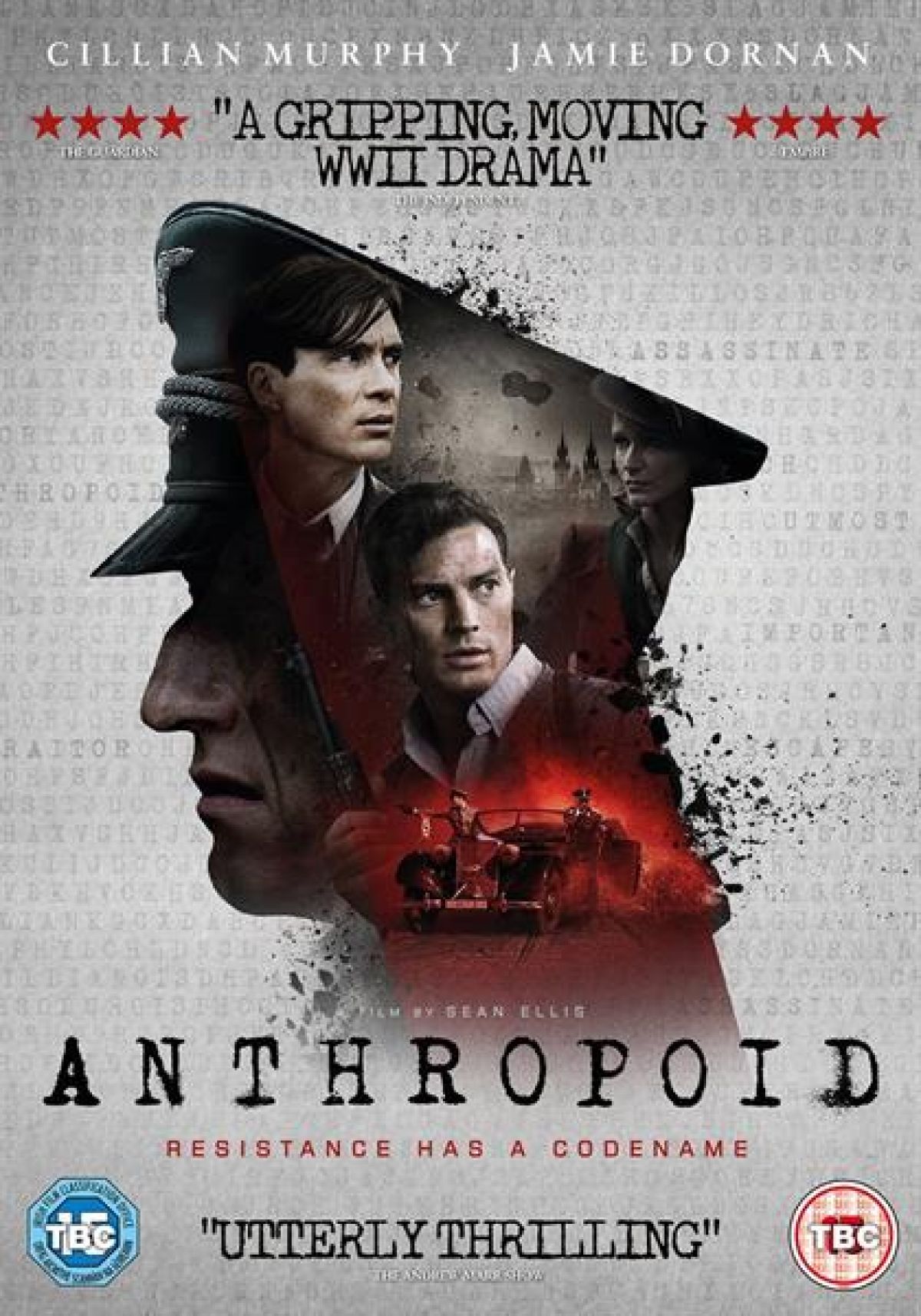Afbeelding van Anthropoid