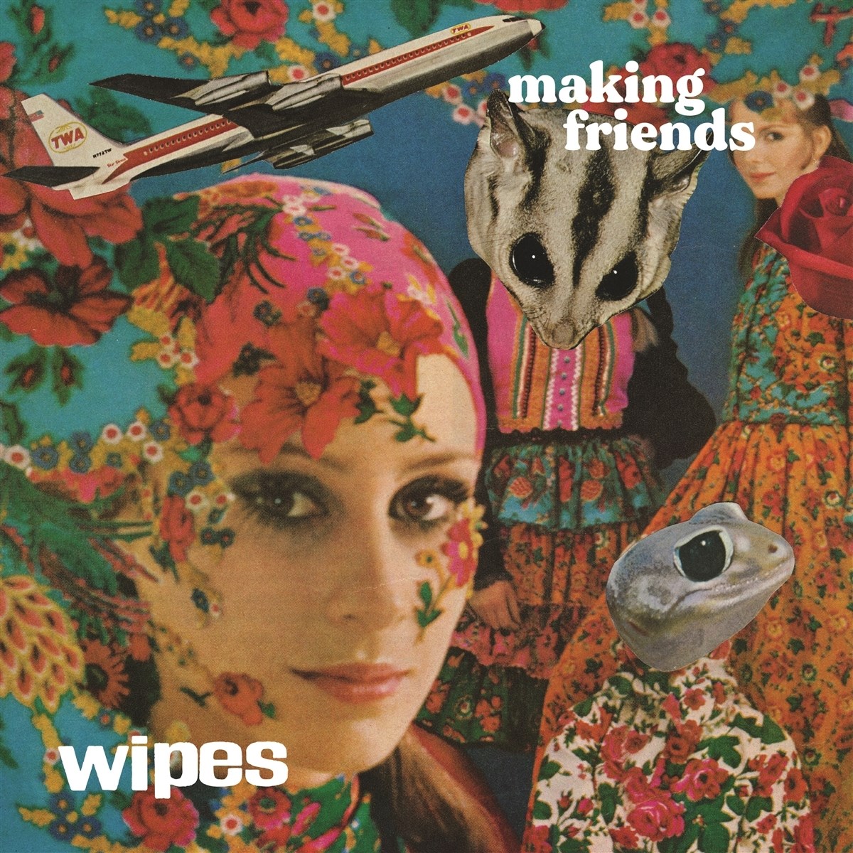 Afbeelding van Wipes - Making Friends