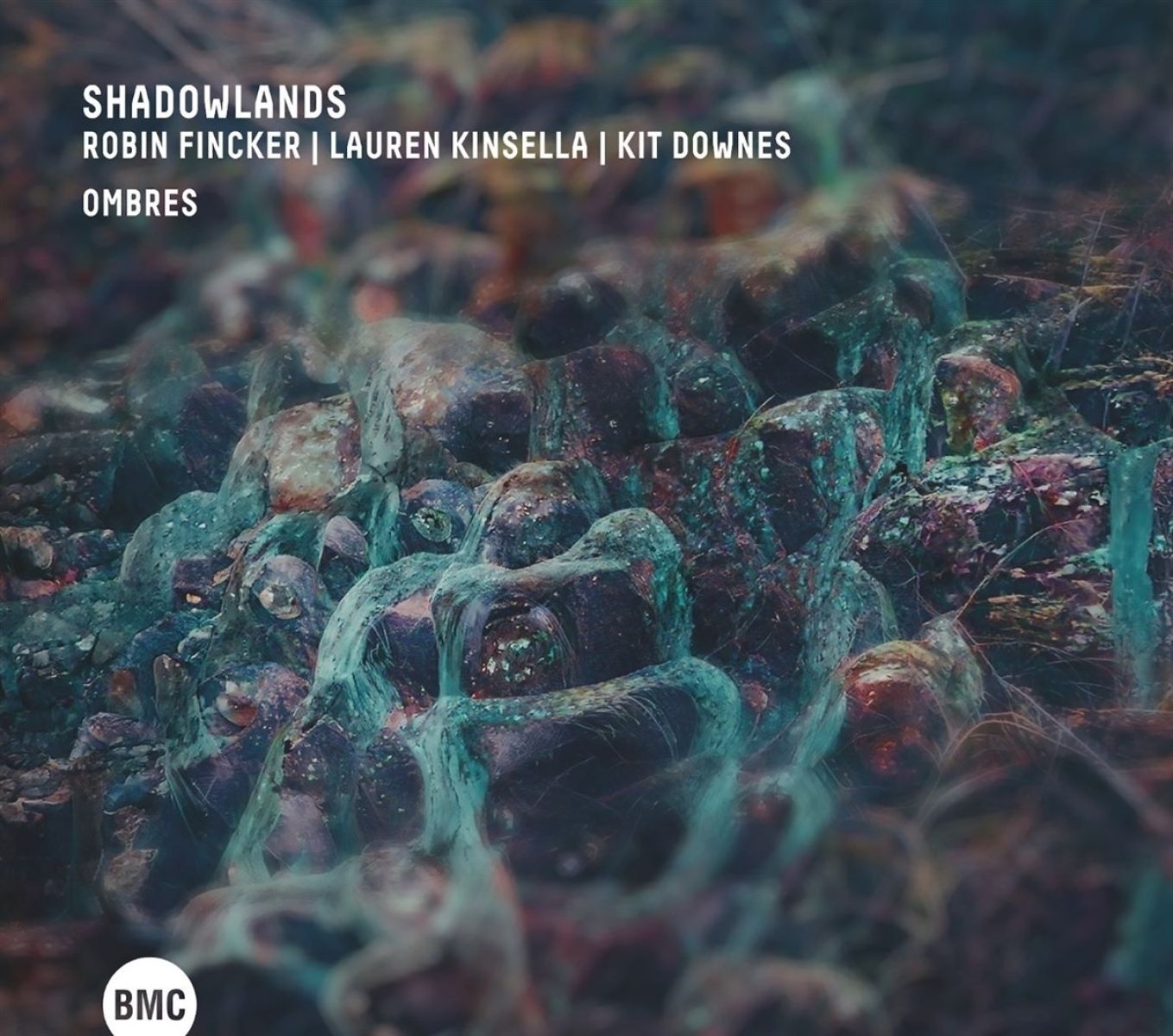 Afbeelding van Shadowlands - Ombres