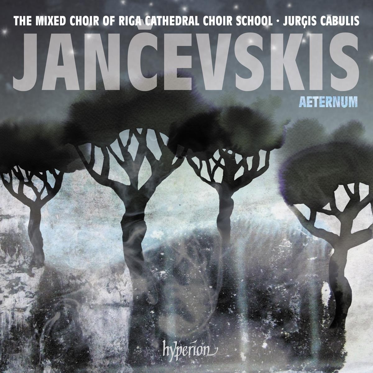 Afbeelding van The Riga Cathedral Choir School - Aeternum