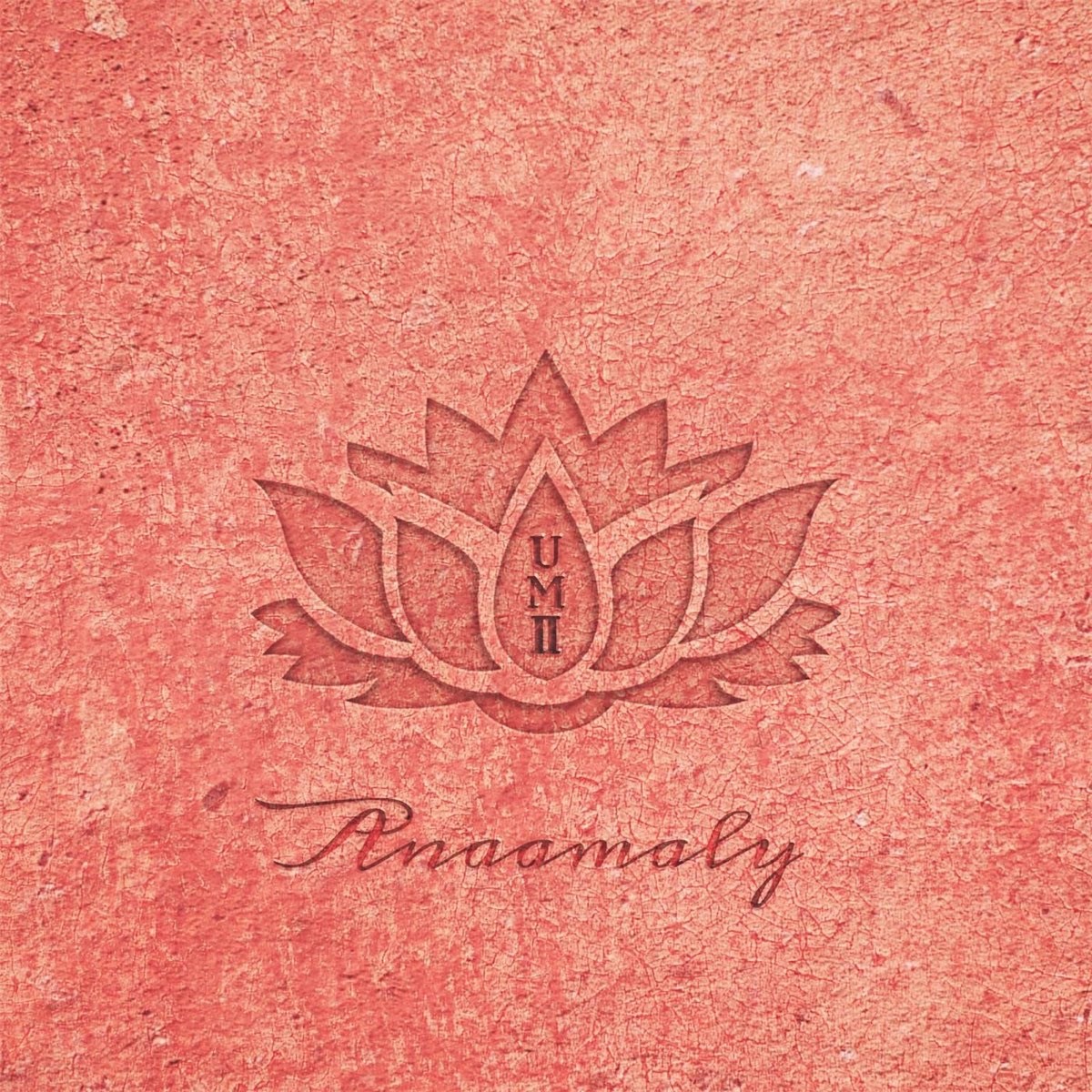 Anaamaly - Urban Metta, Vol. 2