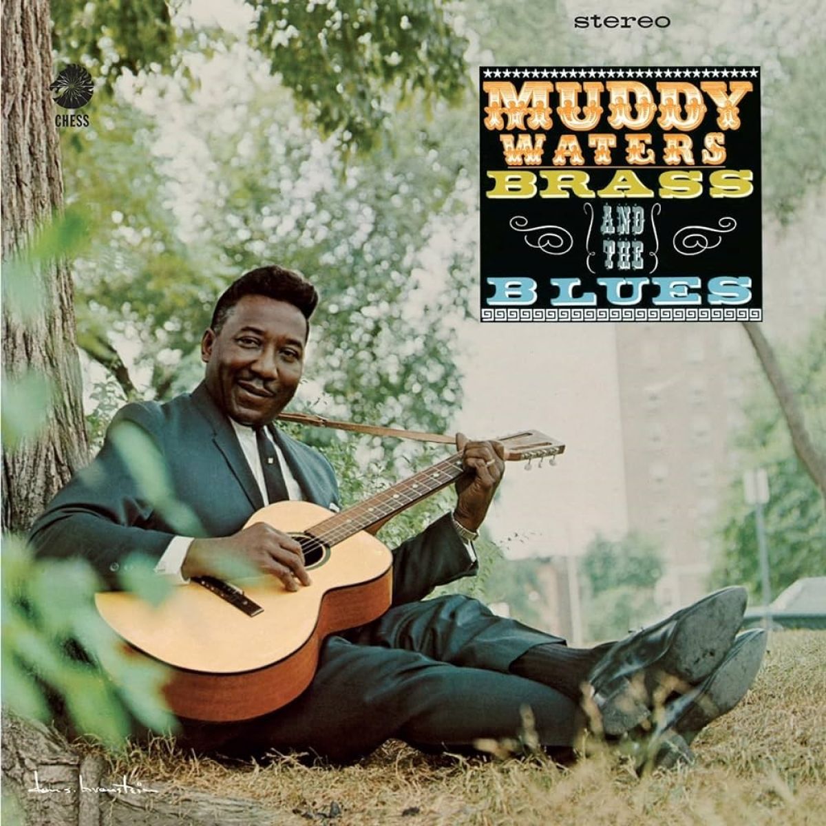Afbeelding van Muddy, Brass & The Blues