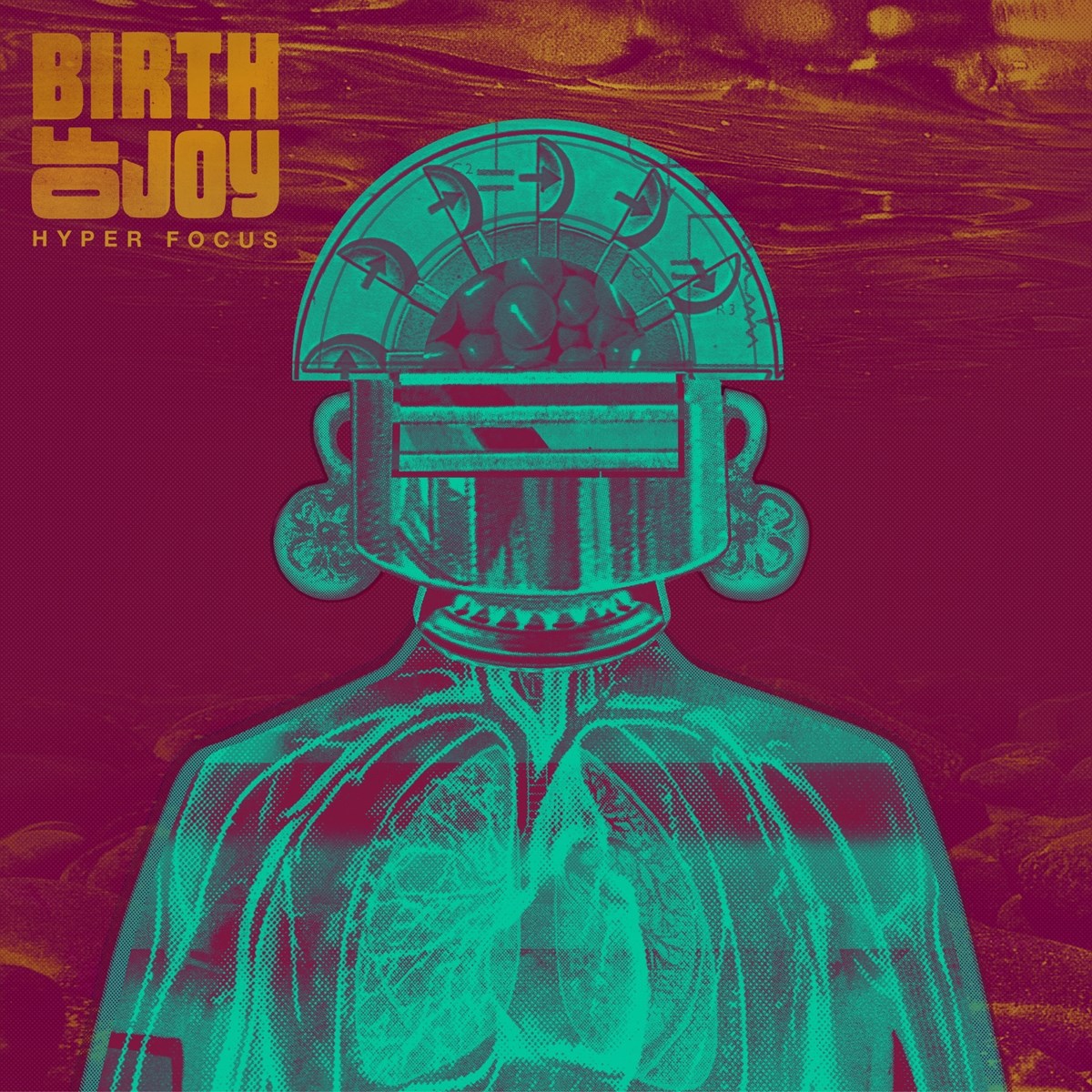 Afbeelding van Birth Of Joy - Hyper Focus