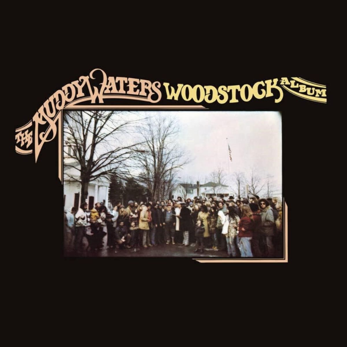 Afbeelding van Muddy Waters - The Muddy Waters Woodstock Album
