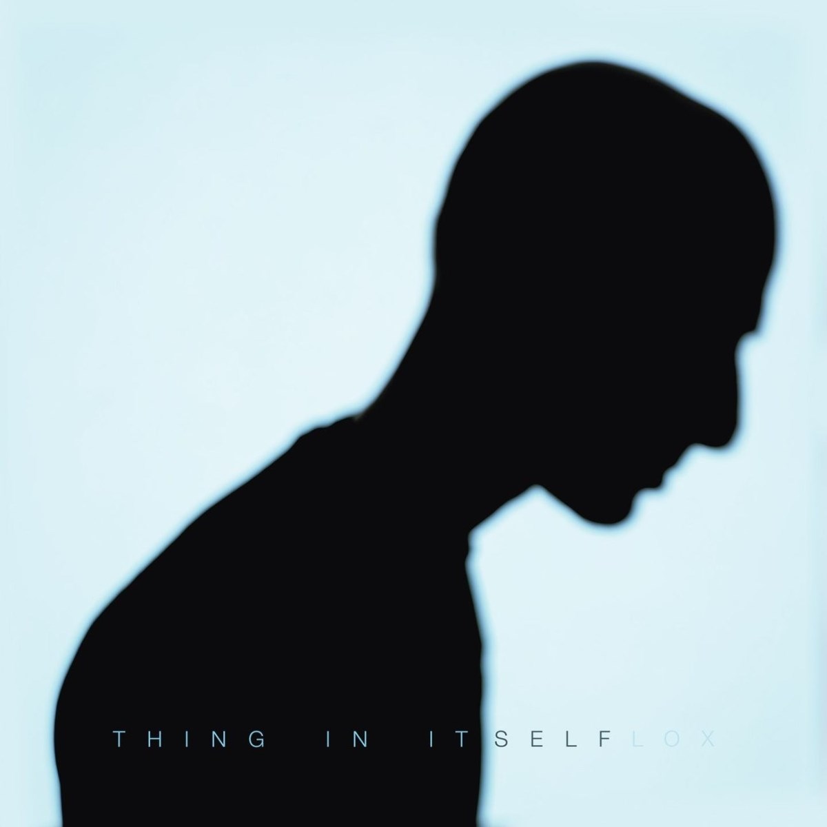 Afbeelding van Flox - Thing In Itself
