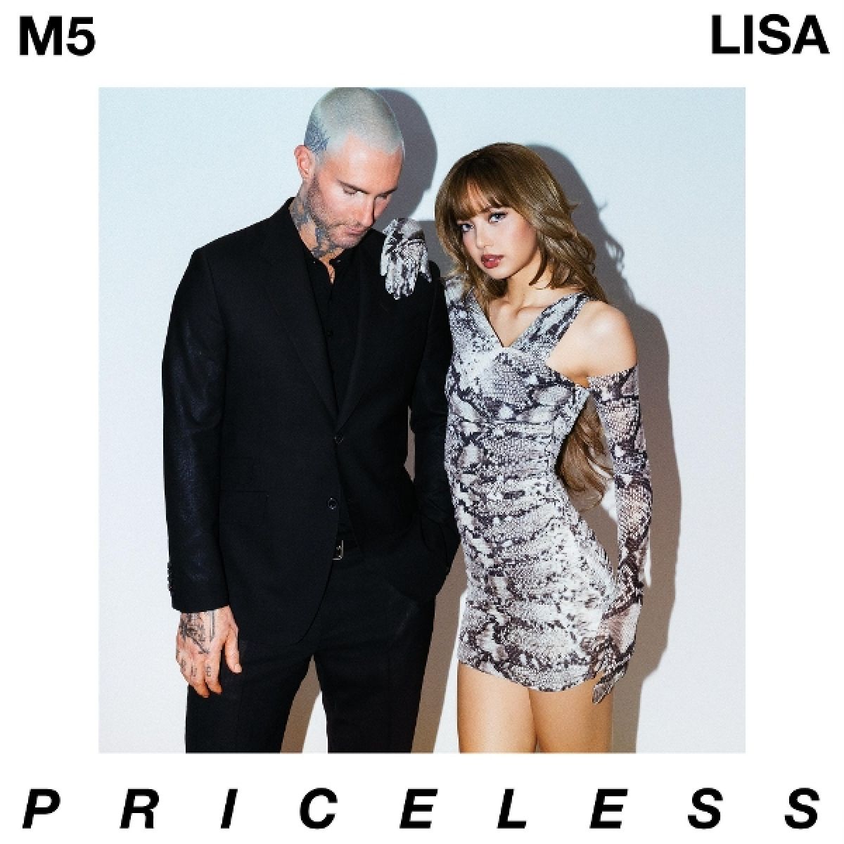 Lisa & Maroon 5 - Priceless